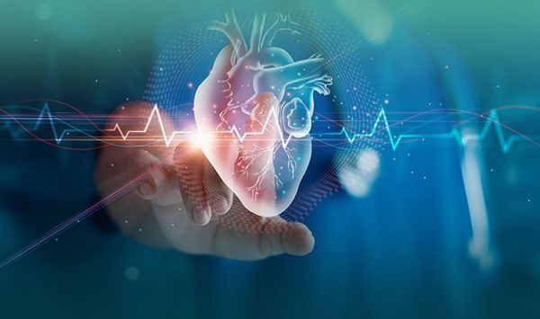 cardiology